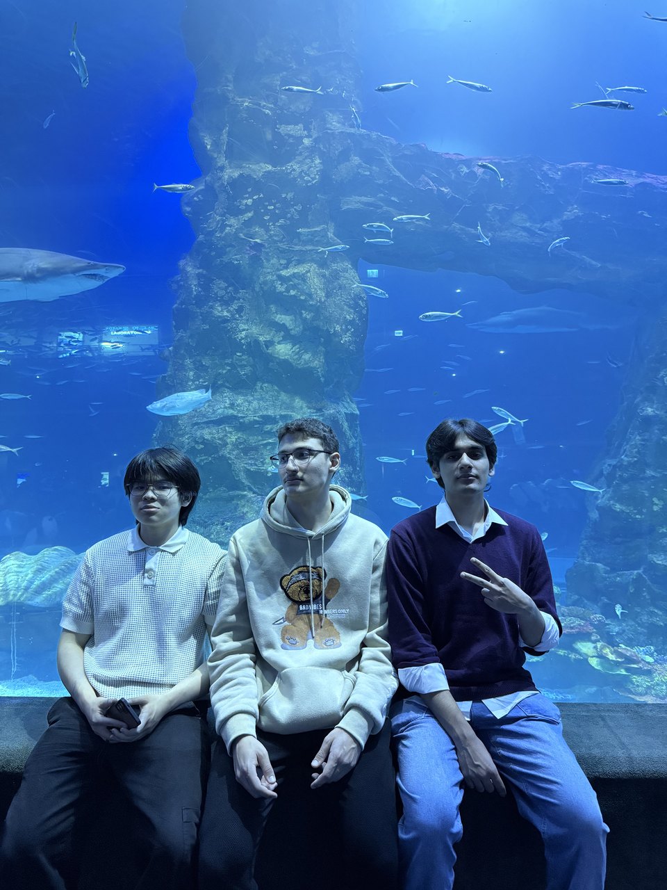 Abdullah and two friends sitting in front of a large aquarium tank.