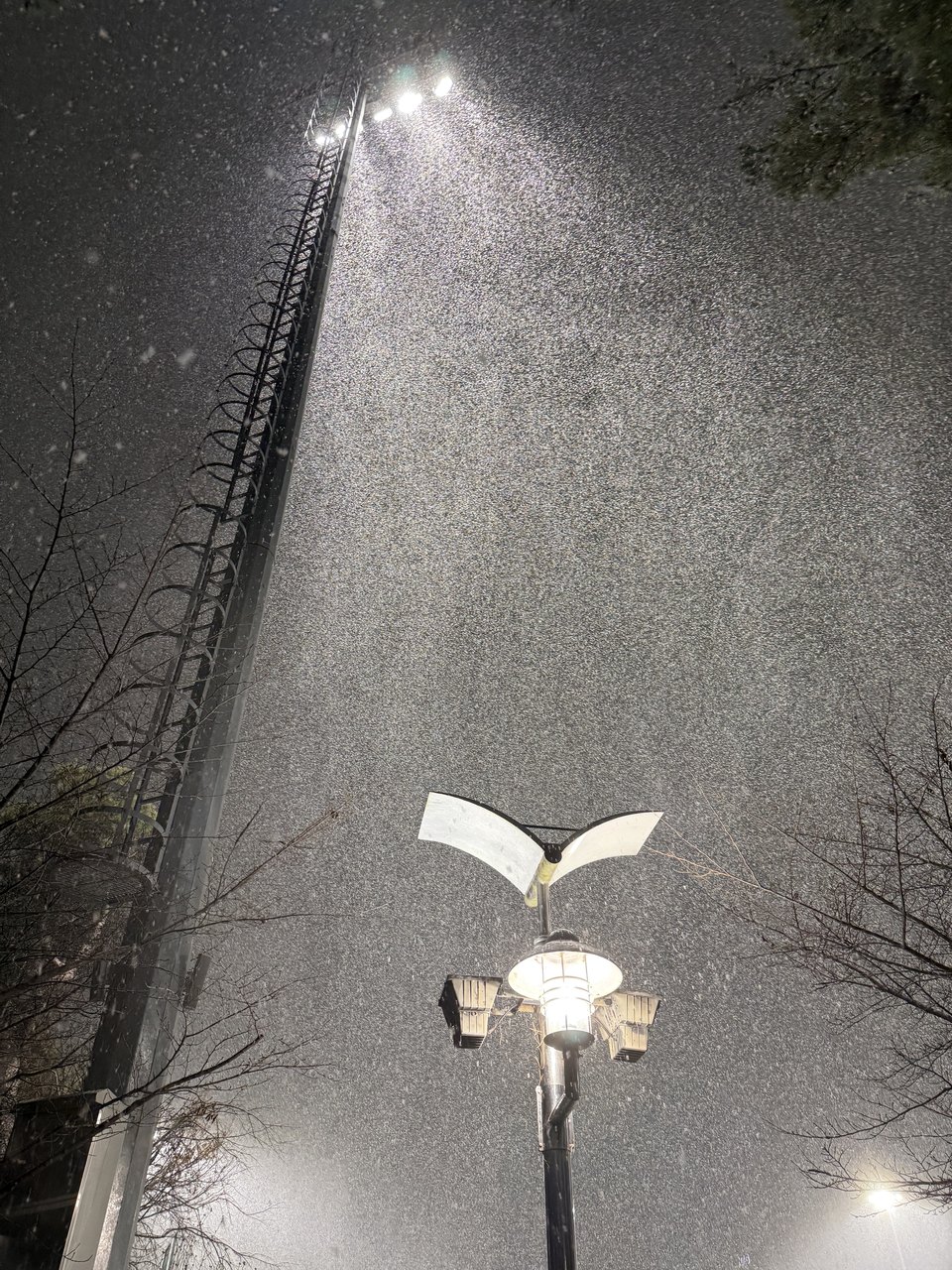 Snow falling through the beam of a floodlight at night.